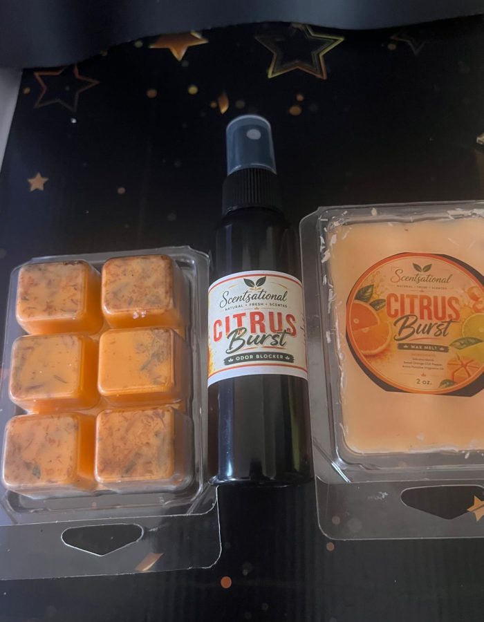 Citrus Burst Room Spray and Wax Melts